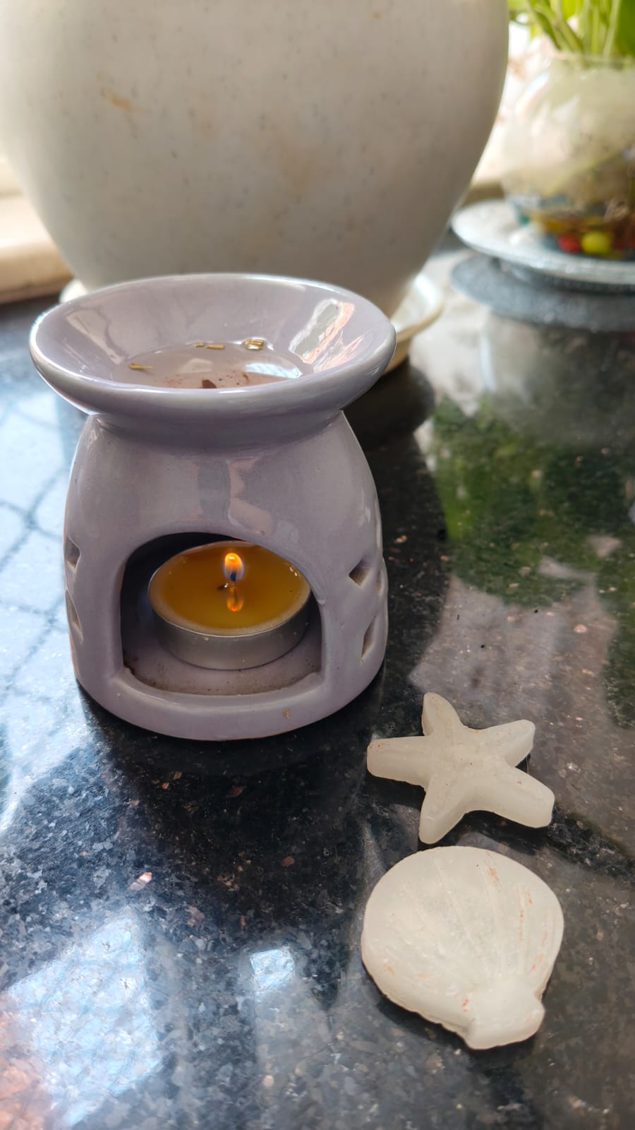 Ocean Creature Wax Melts (5–8 cm)