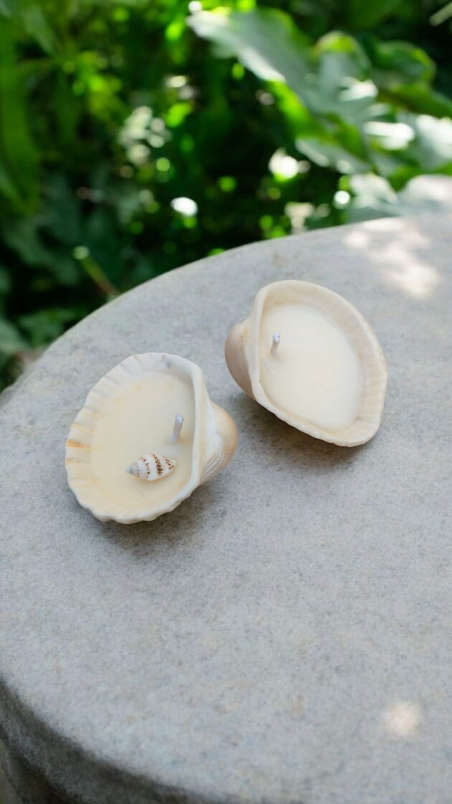 Seashell Candles