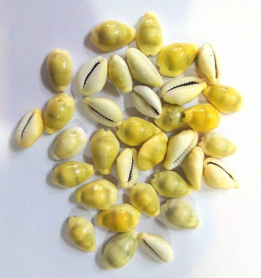 Shells for Religious/ Spiritual Use