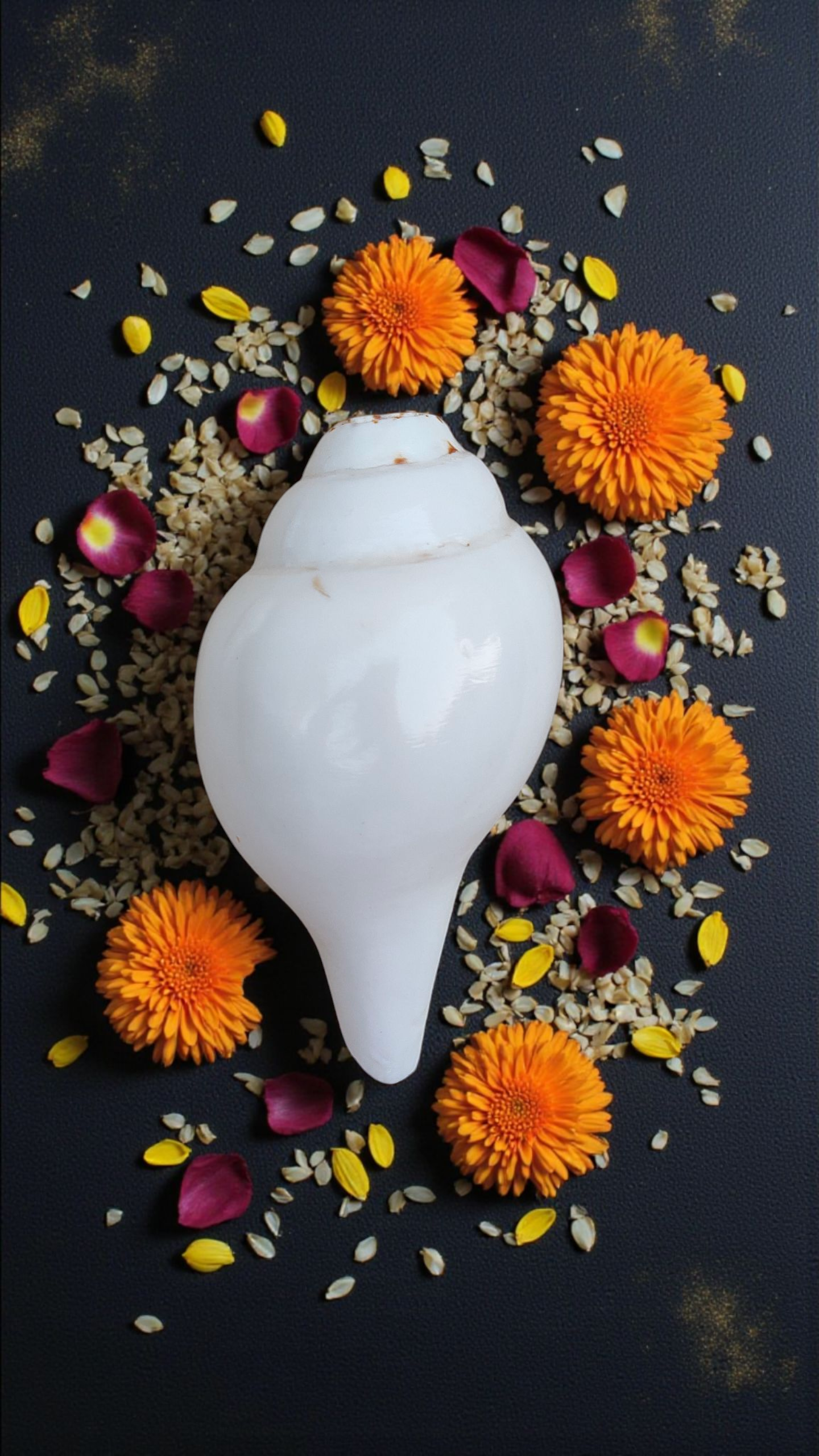 Pure Vamavarti Blowing Shankh (Conch Shell) – Authentic Puja Shankh | 4-5 inches