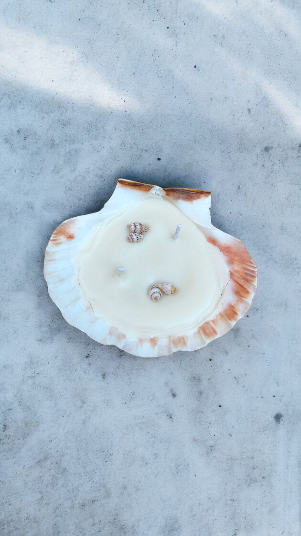 Handmade Scallop Shell Candle (4.5–5.5 inches) – Coastal Decor | Seashell Soy Wax Candle