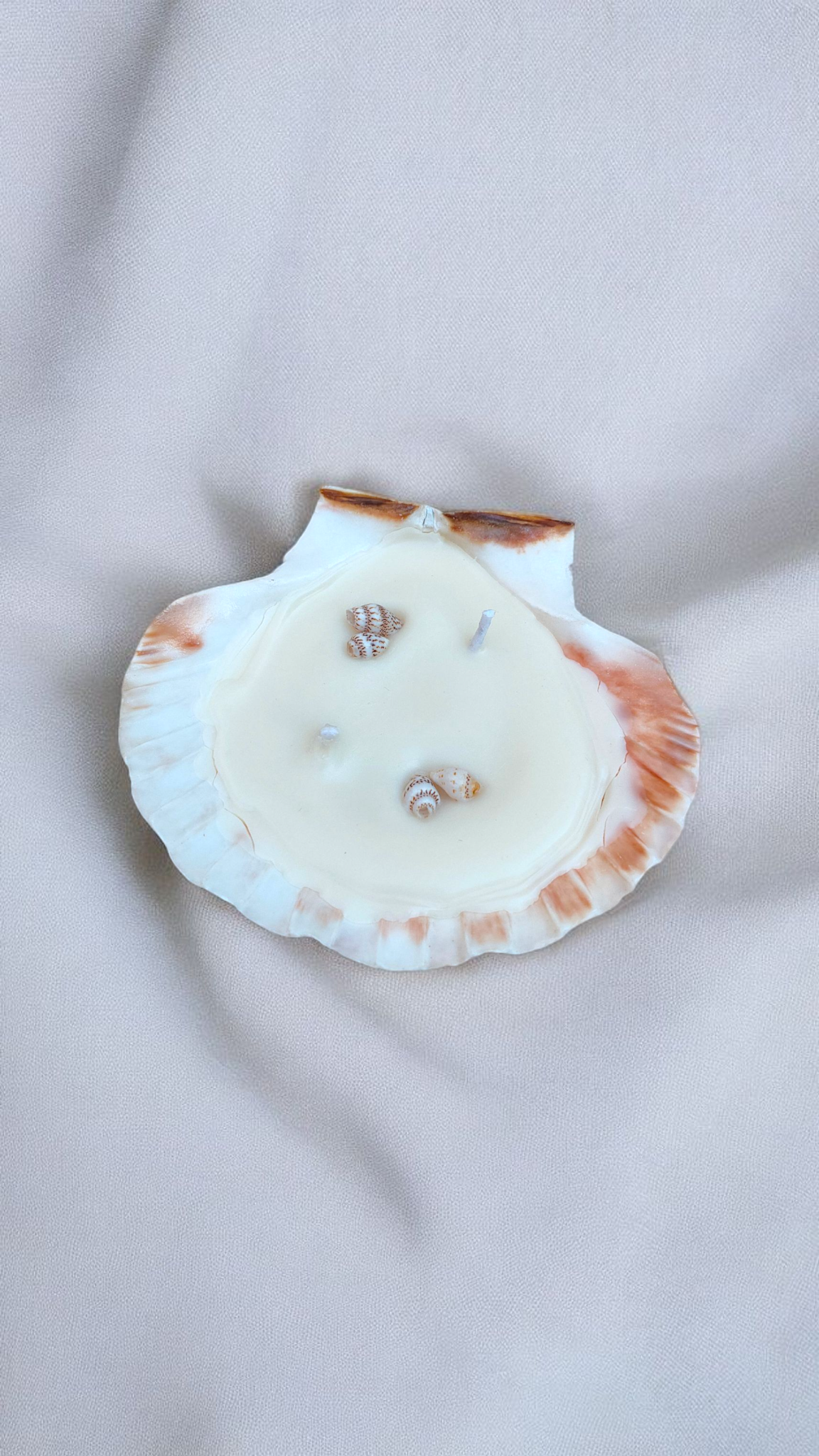 Handmade Scallop Shell Candle (4.5–5.5 inches) – Coastal Decor | Seashell Soy Wax Candle