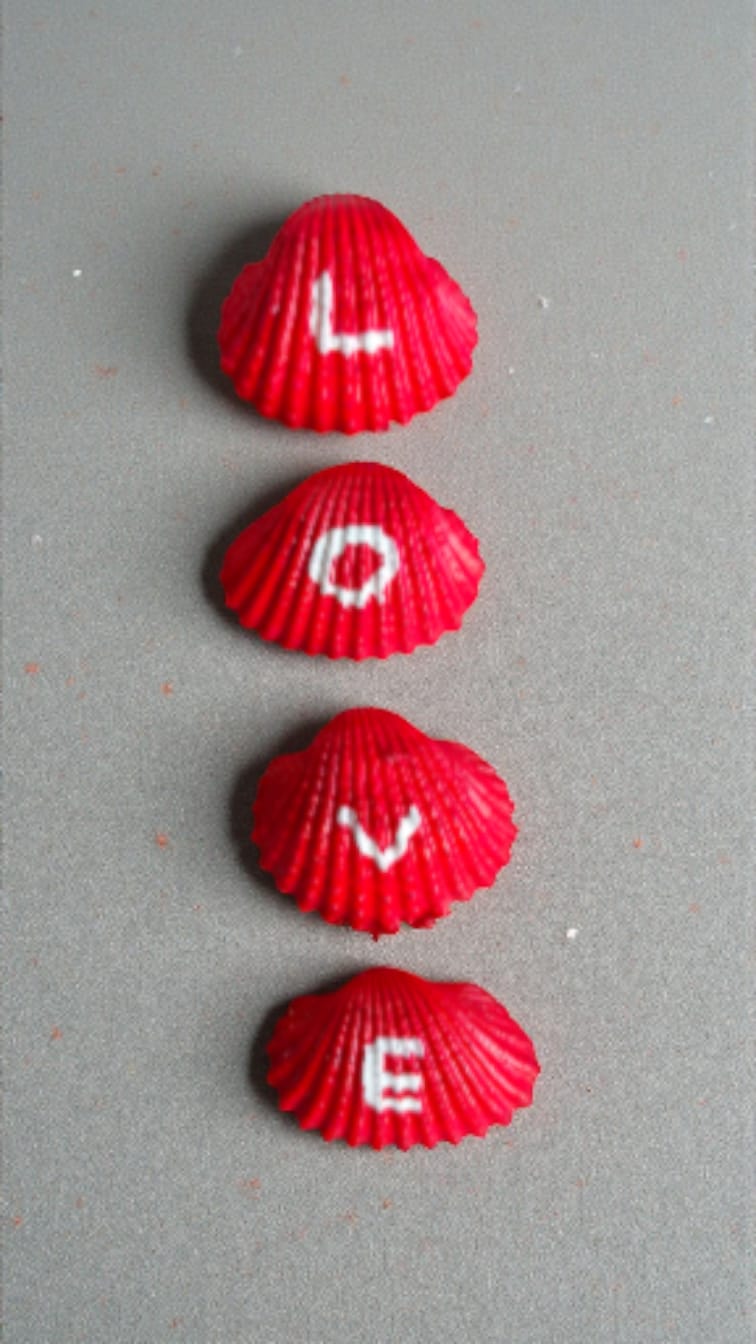 LOVE Hand-Painted White Ark Clam Shells – Set of 4 (3–4 cm each) | Customisable Shell Art Gift