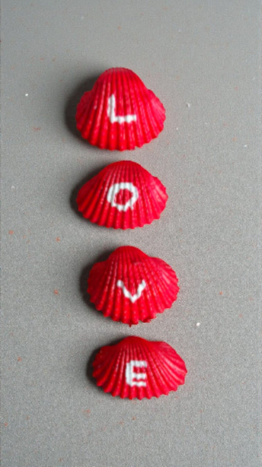 LOVE Hand-Painted White Ark Clam Shells – Set of 4 (3–4 cm each) | Customisable Shell Art Gift