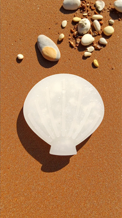 Ocean-Themed Wax Melts (5–8 cm) –  Festive Collection