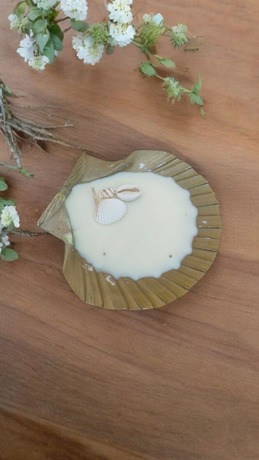 Bronze Clam Shell Candle – Ocean-Inspired Decor