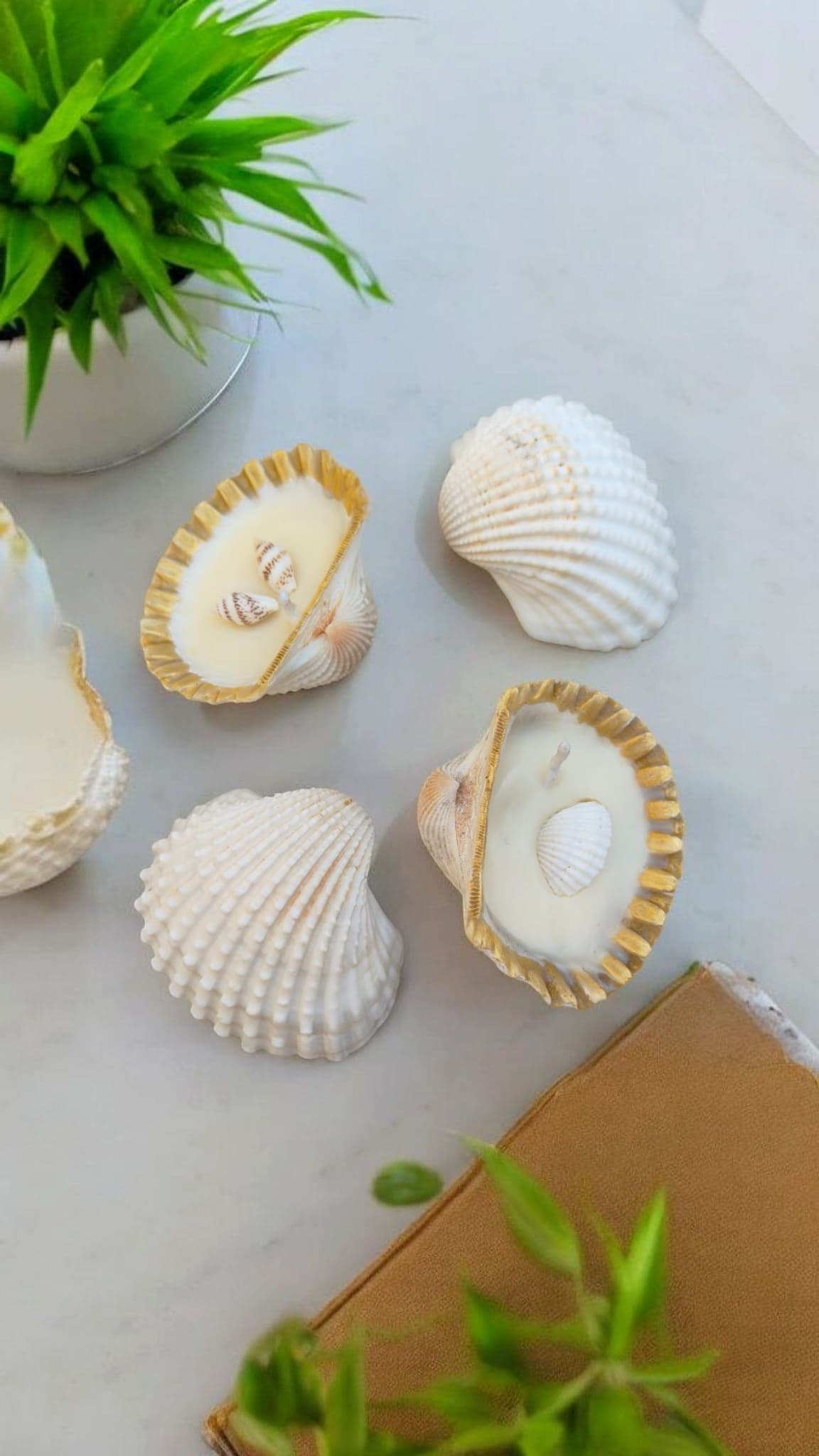 Golden Rimmed White Clam Shell Candle