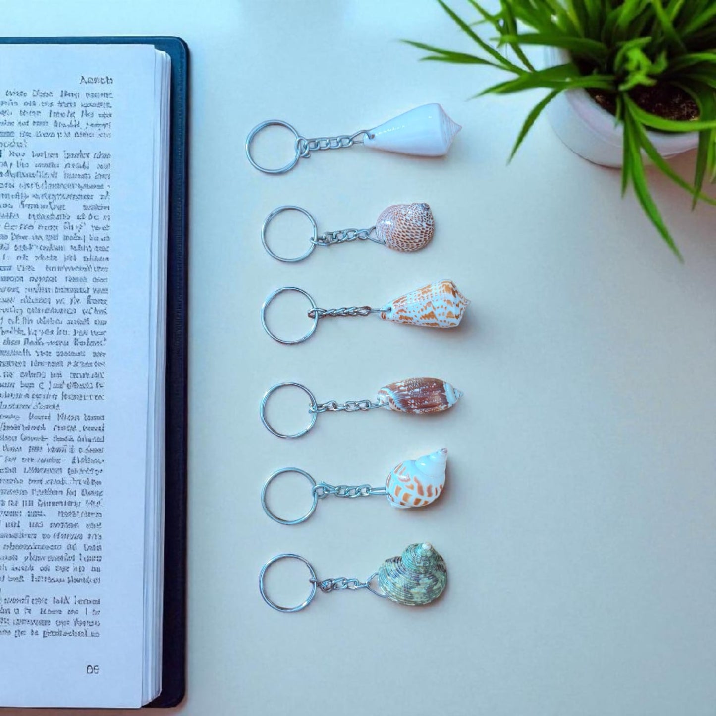Natural Seashell Keychains – Handmade Coastal Key Ring (5–7 cm)