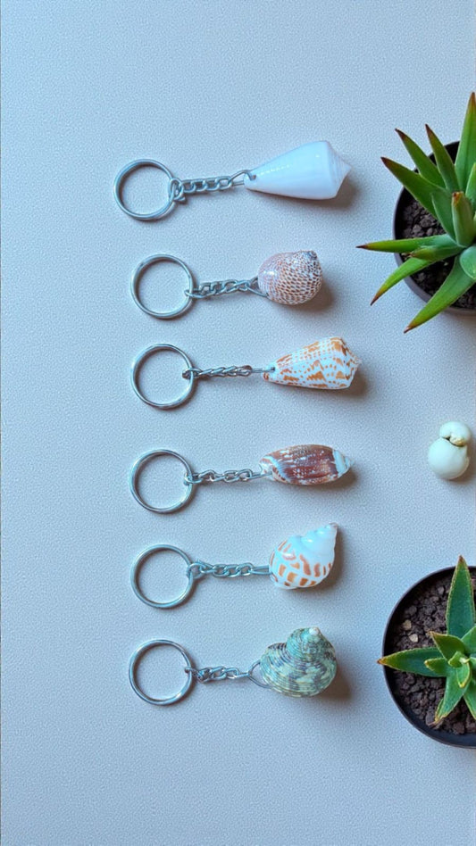 Natural Seashell Keychains – Handmade Coastal Key Ring (5–7 cm)