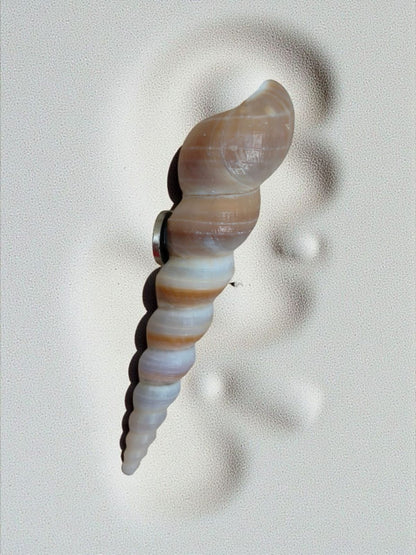 Handmade Seashell Magnets (2 to 3 Inches) – Coastal Fridge Magnets for Home & Décor