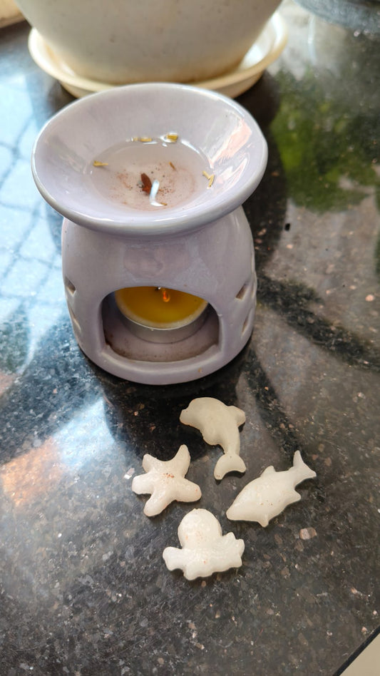 Mini Ocean Wax Melts (2–3 cm) | Eco-Friendly, Handcrafted