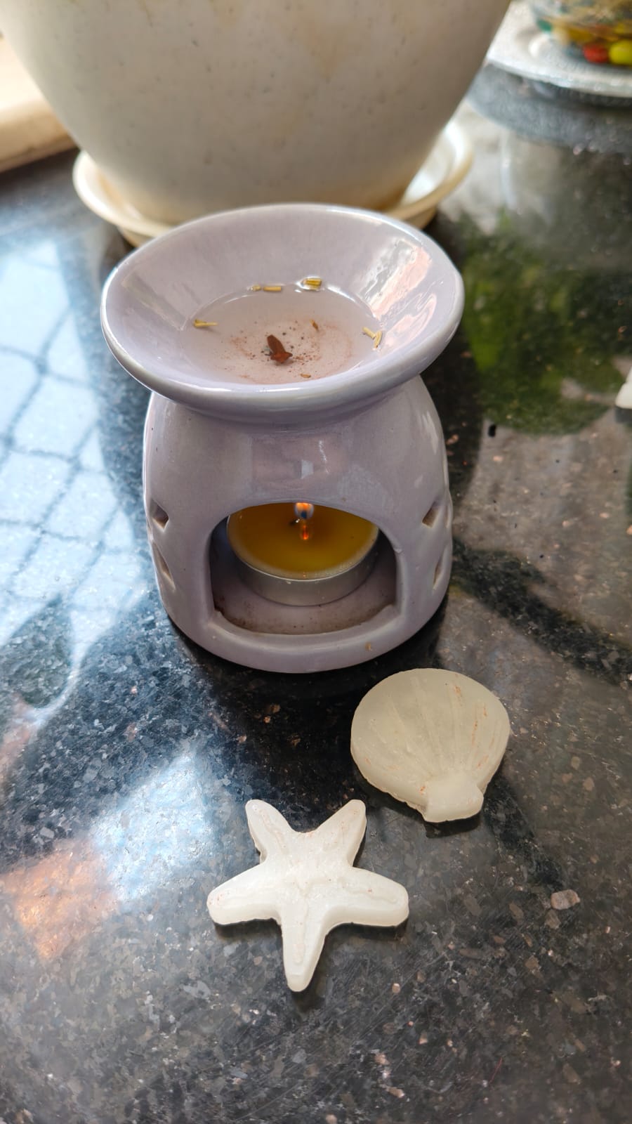 Ocean Creature Wax Melts (5–8 cm)