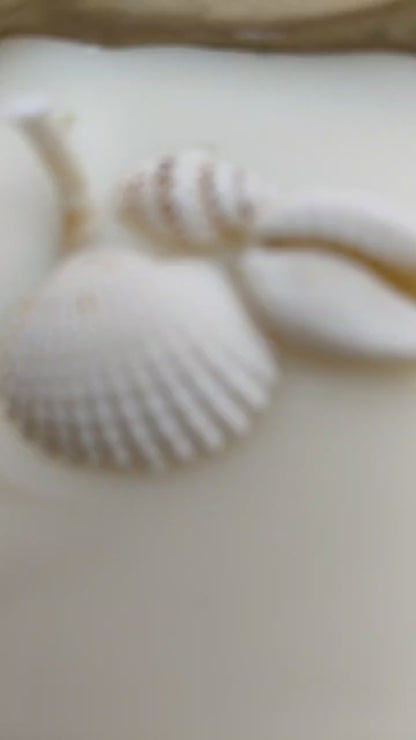 Bronze Clam Shell Candle – Ocean-Inspired Decor