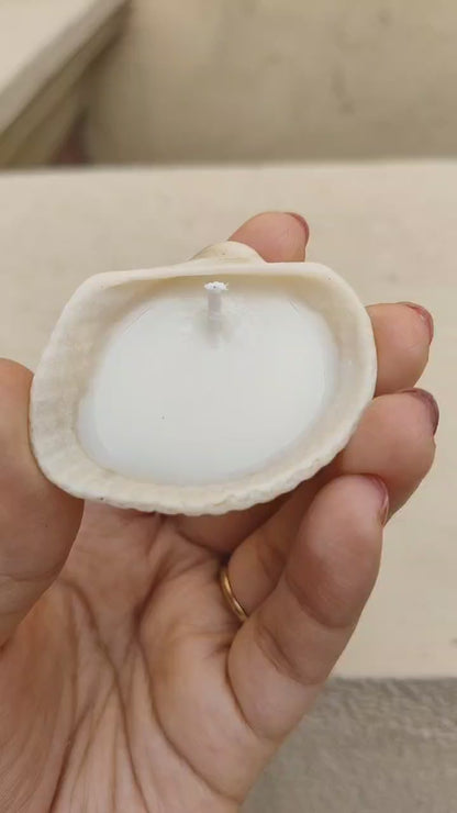 White Seashell Candles – Handcrafted Coastal Elegance (Set of 4)