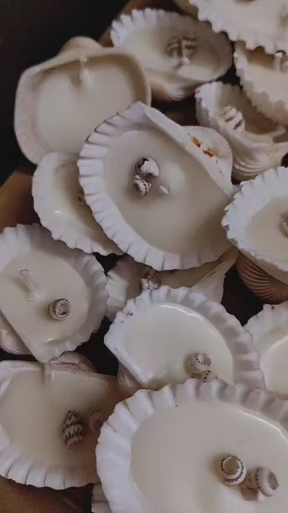 White Seashell Candles – Handcrafted Coastal Elegance